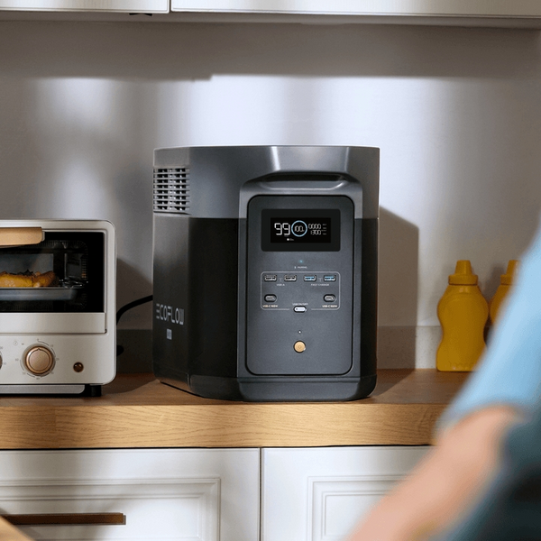 Зарядна станція EcoFlow DELTA 2 Max (2048 Вт&middot;год) EFDELTA2Max-EU EFDELTA2Max-EU фото